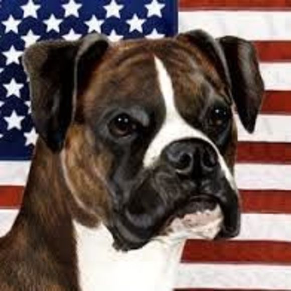 Meet your Posher, Jo - Picture 1 of 1